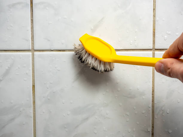 Best Black Mold Remediation in Columbiana, OH