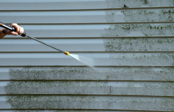 Best Mold Remediation for Specific Building Types in Columbiana, OH